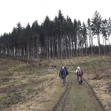 Le Vieux Tilleul * Рандё